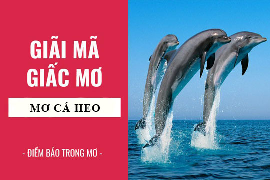 Mơ thấy cá heo điềm gì?